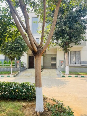 https://img.squareyards.com/secondaryPortal/optImages/IN_639202539867469929-210726060626626.jpg Cover Image