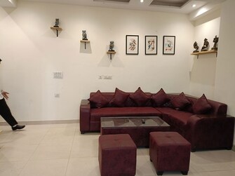 3 BHK + Store Room 900 Sq.Ft. Builder Floor in Sai Kunj New Palam  vihar