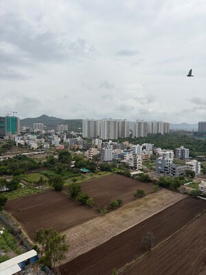 2 BHK Apartment – Exterior View View at Kolte Patil Life Republic 16th Avenue Arezo, Hinjewadi - for Rent