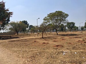 Plot Area in  Land at Siddapura – for Sale