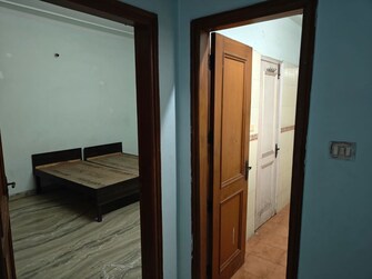 2 BHK + Store Room Builder Floor For Rent in RWA Apartments Sector 50 in Sector 50, Noida