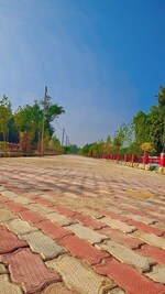 1377 Sq.Ft. Plot in Metro Height