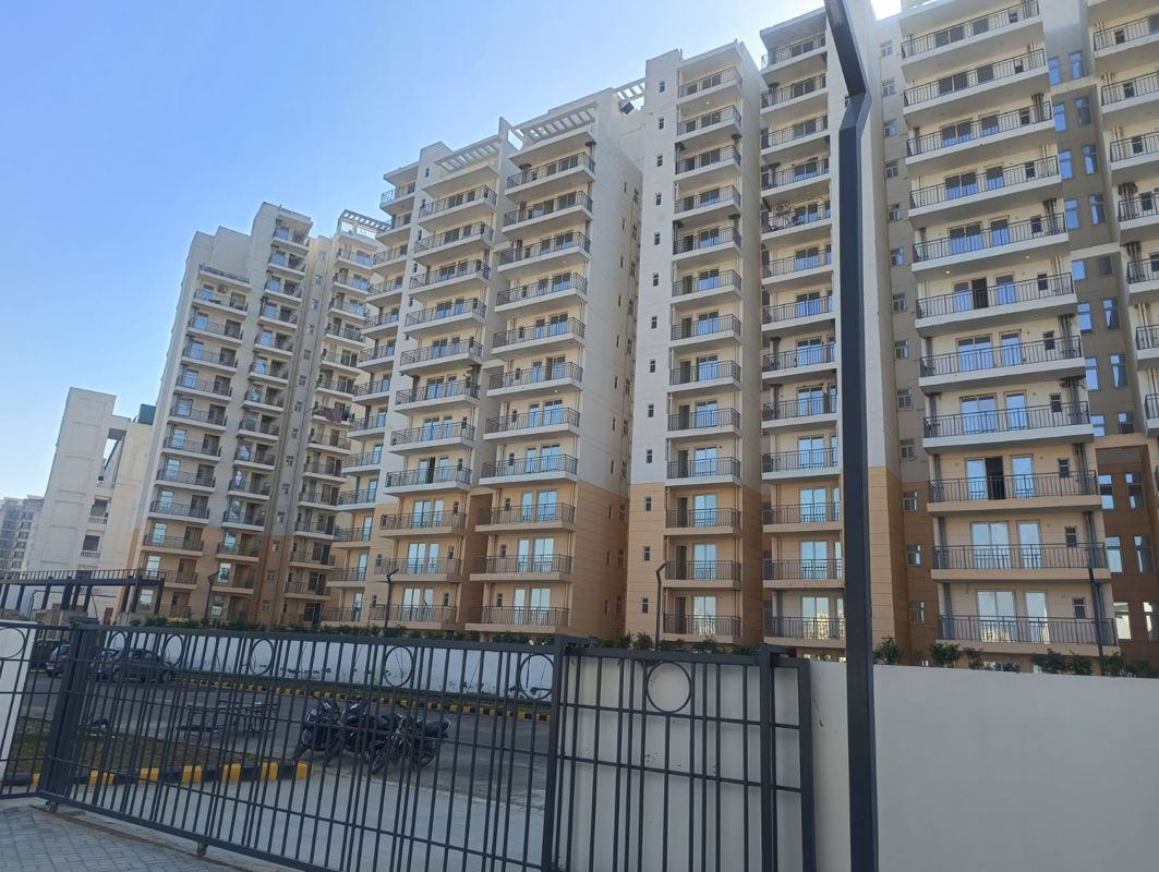 2.5 BHK + Study Room 645 Sq.Ft. Apartment in ROF Amaltas