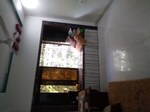 1.5 BHK 800 Sq.Ft. Apartment in Mhada Society
