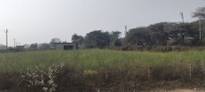 Plot Area in  Plot at Badshahpur – for Sale