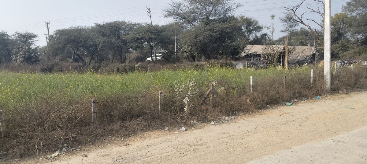 10 Acre Plot in Badshahpur