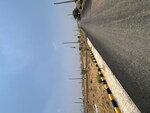 184 Sq.Yd. Plot in GLS Bird Estate