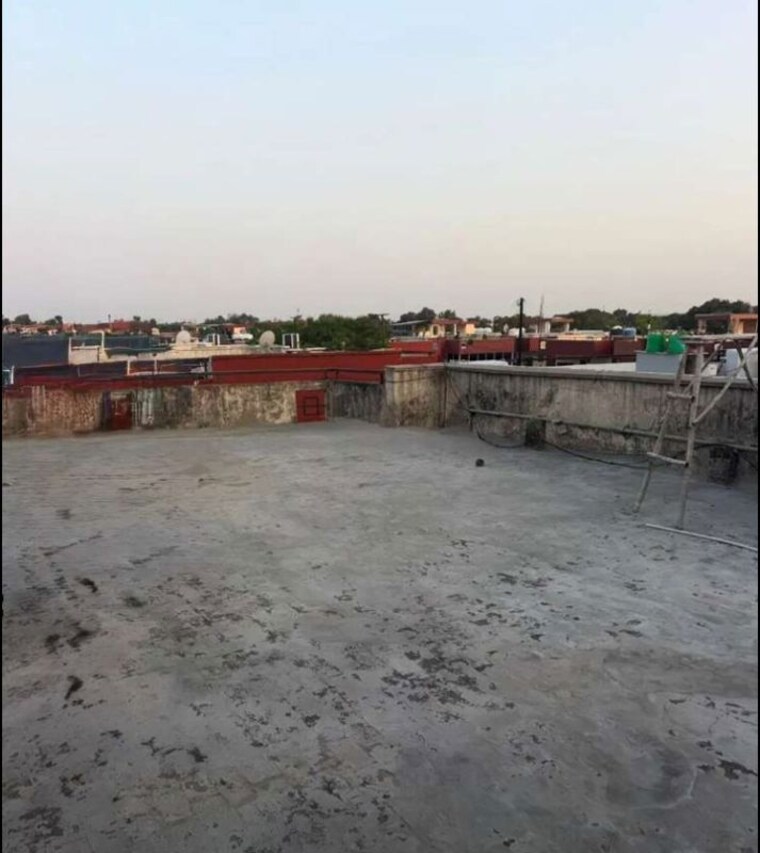 Terrace, sector 49 3 Bedroom 950 Sq.Ft. Builder Floor In Sector 49 Chandigarh 10538283