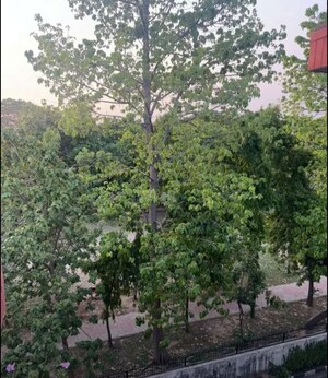 3 BHK Builder Floor – Garden View at Sector 49 - for Rent