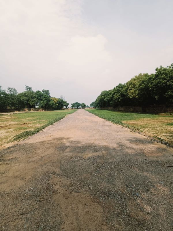 900 Sq.Ft. Plot in Alipur