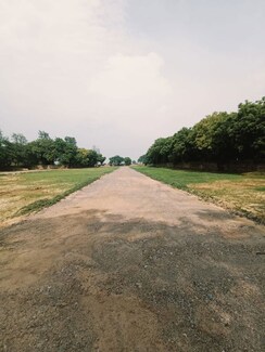 Plot For Sale in Alipur