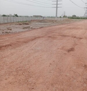 Plot Area in  Plot at Sector 148 – for Sale