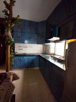 Kitchen in 2 BHK Apartment at Adore Happy Homes, Sector 86 – for Rent