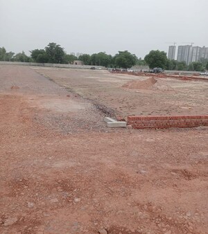 Plot Area in  Plot at Sector 148 – for Sale