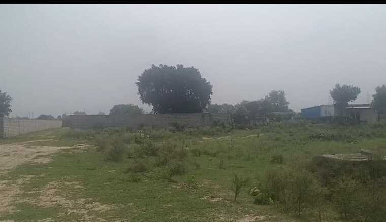 undefined, mansha-orchid  117 Sq.Yd. Plot In Sector 110 Faridabad 10538737