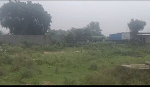 Plot Area in  Plot at Mansha Orchid, Sector 110 – for Sale