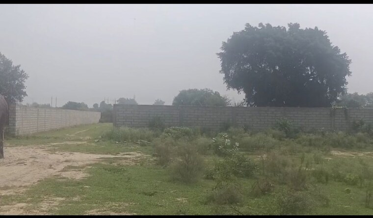 undefined, mansha-orchid  117 Sq.Yd. Plot In Sector 110 Faridabad 10538737