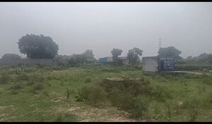 Plot Area in  Plot at Mansha Orchid, Sector 110 – for Sale