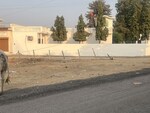 100 Sq.Yd. Plot in Maruti Kunj