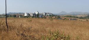 Plot Area in  Plot at Igatpuri – for Sale