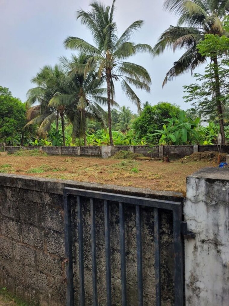 undefined, cheroor  5227 Sq.Ft. Plot In Cheroor Thrissur 10539027