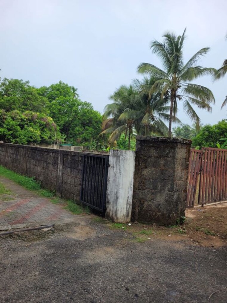 Garden, cheroor  5227 Sq.Ft. Plot In Cheroor Thrissur 10539027
