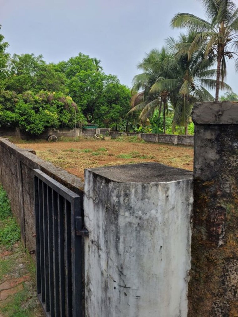 undefined, cheroor  5227 Sq.Ft. Plot In Cheroor Thrissur 10539027