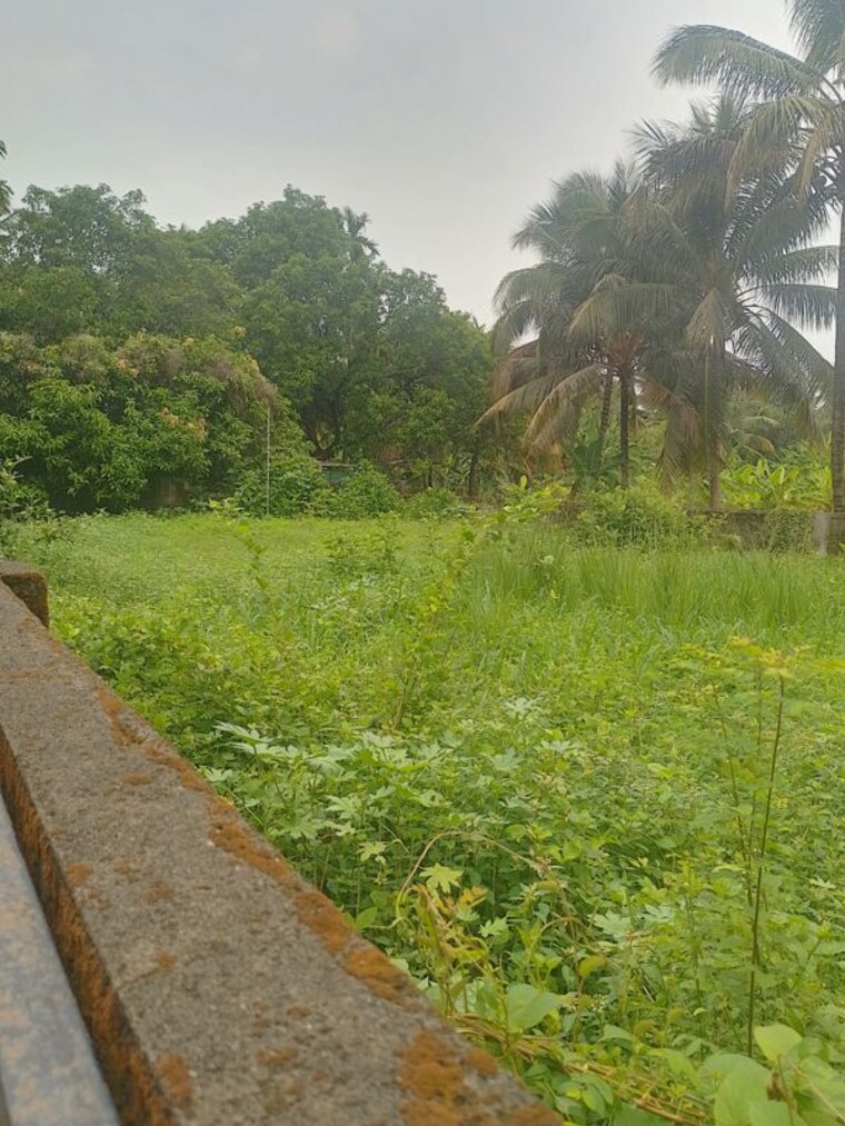 undefined, cheroor  5227 Sq.Ft. Plot In Cheroor Thrissur 10539027
