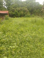 5227 Sq.Ft. Plot in Cheroor