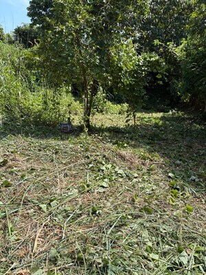  Plot For Sale in Velappaya