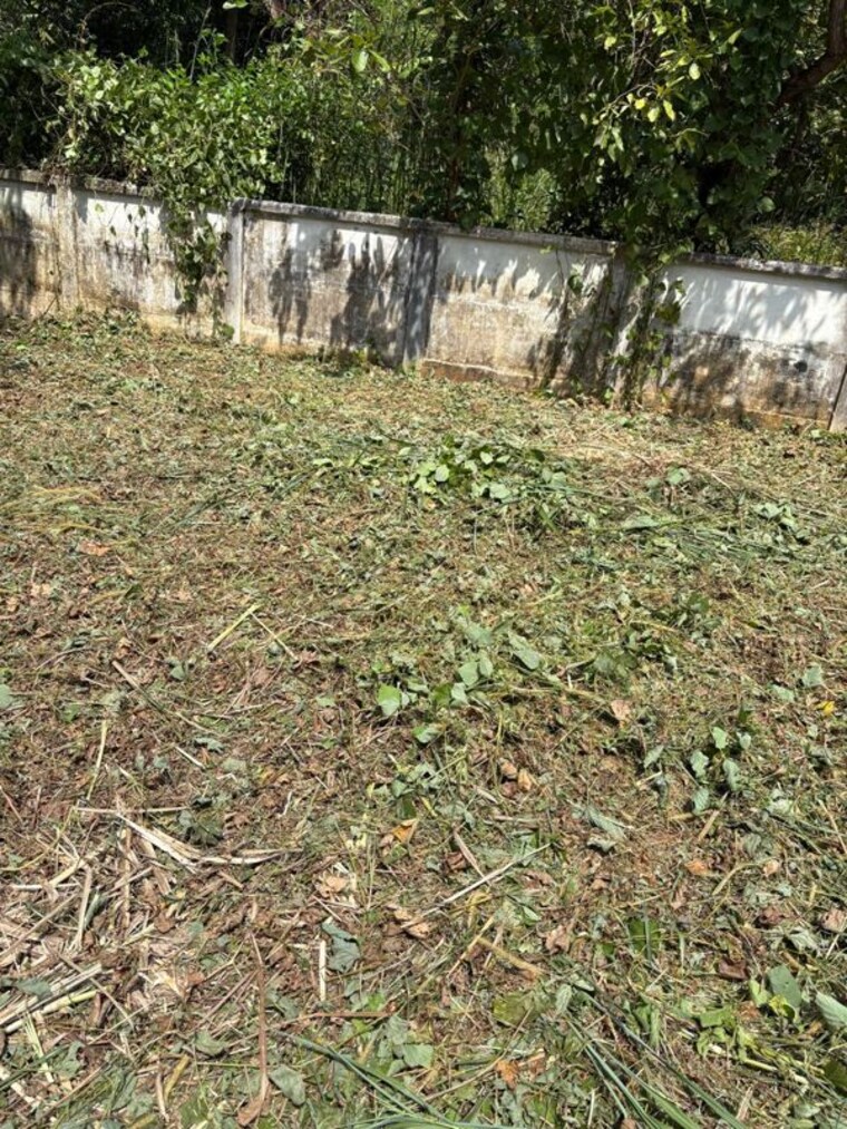 undefined, velappaya  4356 Sq.Ft. Plot In Velappaya Thrissur 10539120