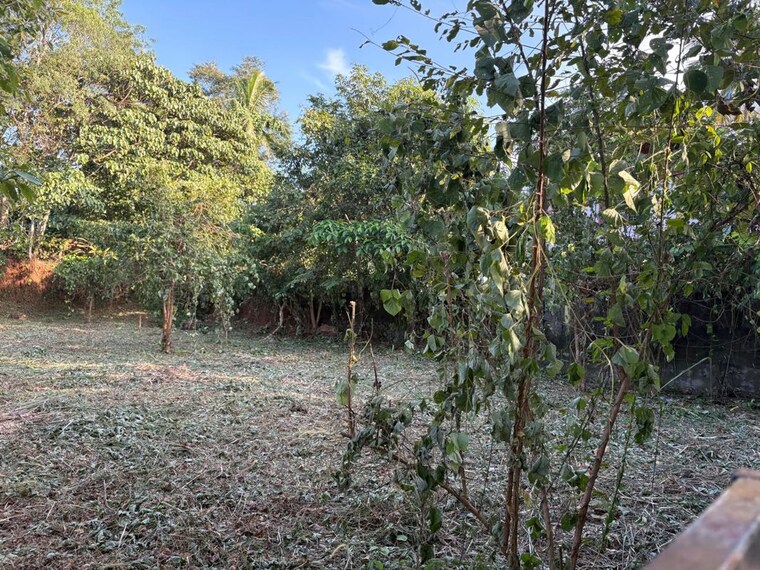 undefined, velappaya  4356 Sq.Ft. Plot In Velappaya Thrissur 10539120