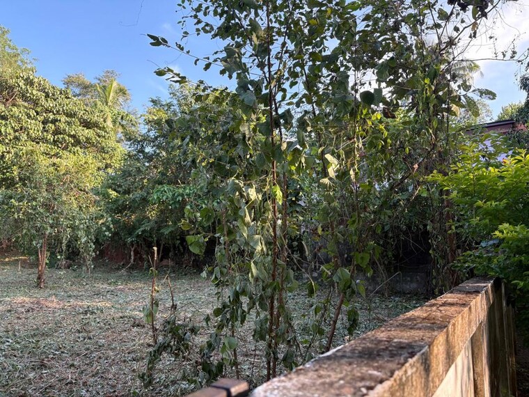 undefined, velappaya  4356 Sq.Ft. Plot In Velappaya Thrissur 10539120