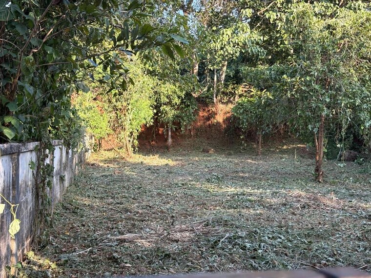undefined, velappaya  4356 Sq.Ft. Plot In Velappaya Thrissur 10539120