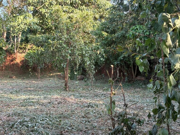 undefined, velappaya  4356 Sq.Ft. Plot In Velappaya Thrissur 10539120