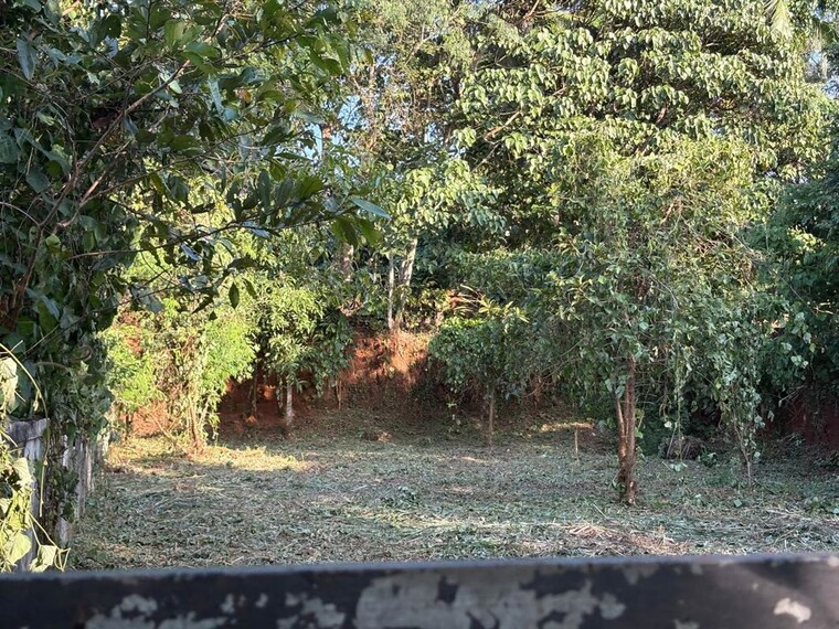 undefined, velappaya  4356 Sq.Ft. Plot In Velappaya Thrissur 10539120