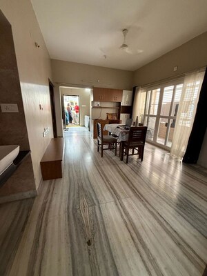 Living Room in 2 BHK Apartment at Golden Tulip Kondapur, Kondapur – for Rent