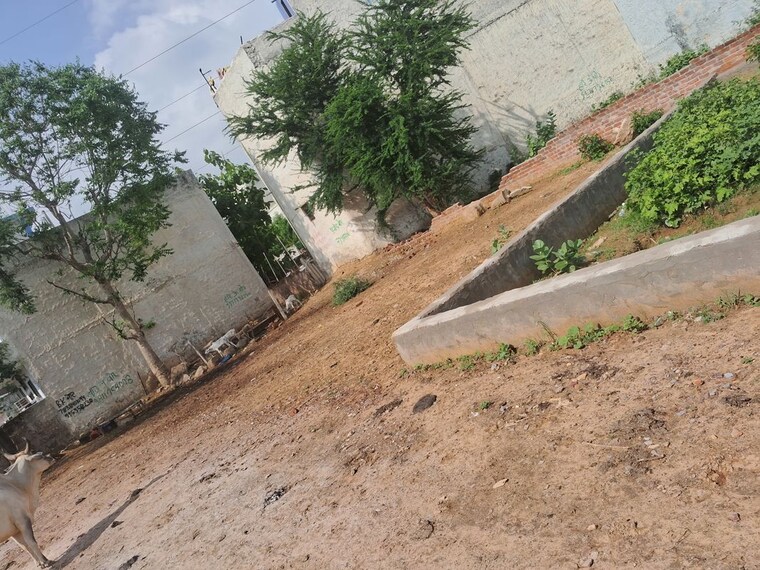 undefined, bhondsi  72 Sq.Yd. Plot In Bhondsi Gurgaon 10539349