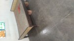 1 BHK + Store Room 400 Sq.Ft. Apartment in Arun Vihar Sector 37