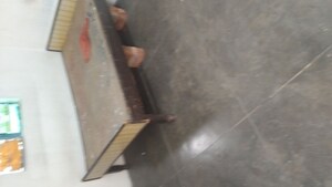 1 BHK Apartment For Rent in Arun Vihar Sector 37, Sector 37