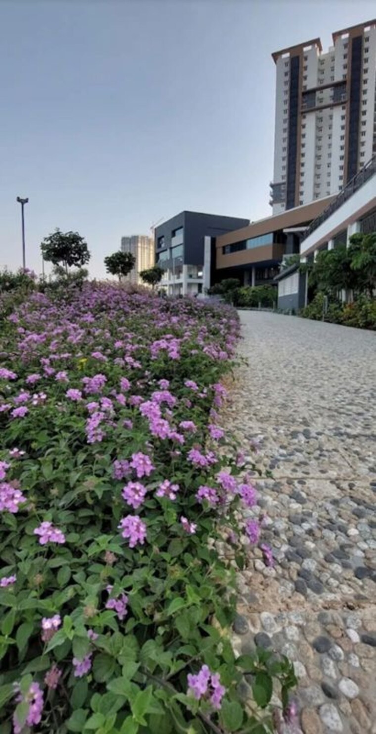 Exterior View, aparna-sarovar-zenith 3 Bedroom 1960 Sq.Ft. Apartment In Nallagandla Hyderabad 10539390