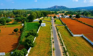 Plot Area in  Plot at Bidadi – for Sale