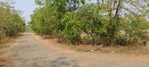 Plot Area in  Land at Visakhapatnam Port – for Sale