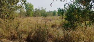  Land For Sale in Visakhapatnam Port