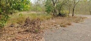 Plot Area in  Land at Visakhapatnam Port – for Sale