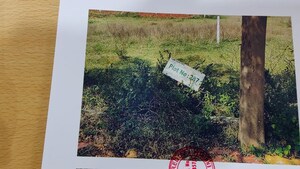 Plot Area in  Land at Visakhapatnam Port – for Sale