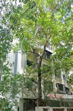3 BHK 1200 Sq.Ft. Apartment in Triveni Sangam CHS Dahisar