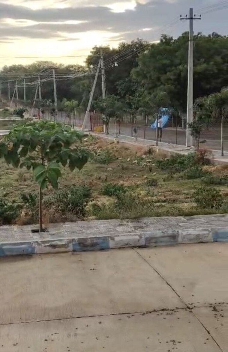 undefined, warangal gpo  200 Sq.Ft. Plot In Warangal Gpo Warangal 10535648