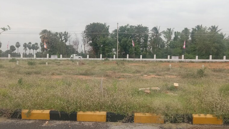 undefined, konda bheemanapally Commercial Land 84 Sq.Yd. In Konda Bheemanapally Devarakonda 10536043