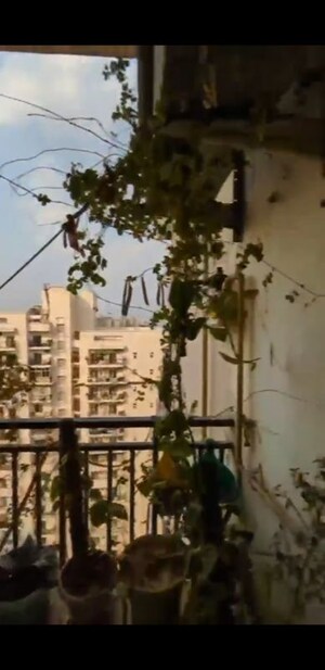 3 BHK Apartment – Exterior View View at Saviour Green Arch, Tech Zone 4 Greater Noida - for Sale